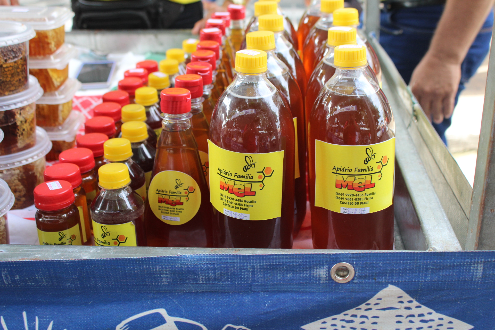 Piauí conquista o mundo com mel: estado se firma como 2º maior produtor do Brasil e referência global no setor apícola